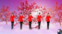 武汉周舟广场舞：红红的日子