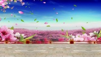 小太阳广场舞抠像素材（21）《三生三世十里桃花》
