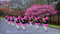 杨丽萍糖豆广场舞粉红色的回忆_高清