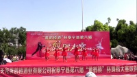 阜宁舞韵广场舞《红红的中国》队形舞