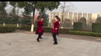 陕西秋凤广场舞，十八的姑娘一朵花双人舞