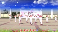 深泽小张庄广场舞队演出《春天里的歌》2017年5月12日
