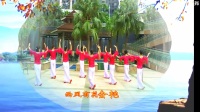 《风雨情途 正背表演与动作分解》深圳木棉花广场舞