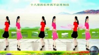 武汉周舟广场舞：（16步双人对跳）九九女儿红