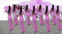 枝叶儿广场舞蹈《美丽中国》制作：枝叶儿