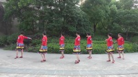 杭州女人花芳舞队応春梅广场舞《高原格桑花》