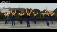 [广场舞大全]茉莉广场舞 中国歌最美