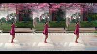 《DJ红梅赞》 简单广场舞教学 广场舞视频_标清
