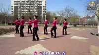 2017年最新32步广场舞杨丽萍走天涯分解动作教学