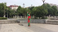 桂桂广场舞《高原格桑花》个人背面演示
