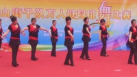 最美中国广场舞汽标辣妈队