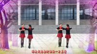 定南风华广场舞双人水兵舞《锡林郭勒的星星》