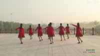 踏浪舞蹈视频广场舞双人舞拉手舞(11)