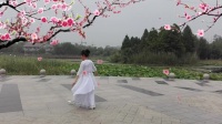 滁州市莲心湖公园广场舞﹤葬花>编舞:王云生:习舞:雨林，。