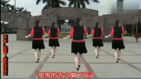 广场舞《最炫民族风》16步-2013最新广场舞