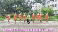 史上最逆天广场舞广场舞鬼步舞歌在飞 (3)
