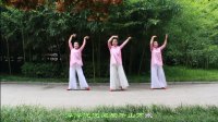 超有意境! 美女竹林跳古典舞《茶禅一味》, 好有中国文化特色