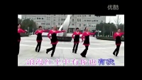 红尘情歌广场舞24步分解动作及背面视频.flv