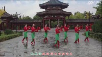 歌在飞广场舞广场舞2017最新广场舞水兵舞 (4)