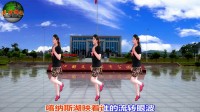 2017最新水兵舞  布尔清情歌  菜地广场舞
