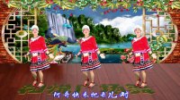 滨海新区汉沽和悦广场舞（这山这水这么美）苗族舞