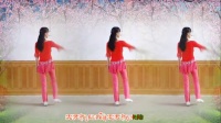 2017年最新广场舞《需要你陪》十六步·简单易学·编舞杨丽萍_标清_兼容格式 DVD_720x480