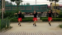 临西周楼广场舞---DJ天边的故乡---编舞：杨丽萍