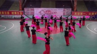 2017安徽电信广场舞大赛红星舞蹈队·红梅赞