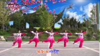 北京龙潭香儿广场舞-最美的情缘