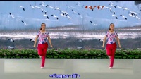 广晋广场舞鬼步舞《歌在飞》鬼步舞半抠像视频制作