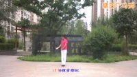 山西秀丽广场舞   手语舞《阳光总在风雨后》策划 ：张杨