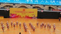 广东省第四届体育运动会广场舞比赛____东莞追梦艺术团《摆呀摆》