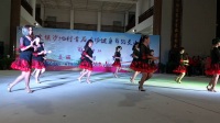 吴川市振文下罗村舞蹈队参加沙地村首届广场舞交流晚会《爱在老地方》