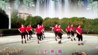 清盈百合广场舞-队形版-串烧-我的九寨-情歌赛过春江水