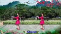 2017年最新王一丹广场舞【甘心情愿爱着你】编舞杨丽萍