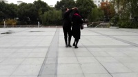 三林世博家园主题公园广场舞 (多合一舞步种类)健身舞步