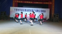 吴川飞燕广场舞学地舞蹈队表演节目《花儿为你开Dj》