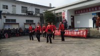 明珠舞蹈队广场舞  南王岗村