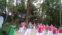 深圳上下沙姐妹广场舞齐园舞动第十套第一节