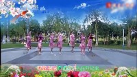 2018最新就爱广场舞 顺德丝奇广场舞队原创《粉红色的回忆》教学版 原版