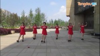 舞动健康好姐妹广场舞背面示范视频合集20180102