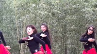 北京紫竹院公园广场舞《梦回草原》20171021