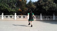 碧水华庭广场舞（亲吻西藏）背面演示