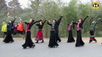 北京紫竹院公园的舞者。她们不少是毗邻公园的北京舞蹈学院退休的专业老师，不乏教授、副教授的。她们的舞技、舞姿绝不是跳广场舞的大妈们能比的。     (谷九展上传)