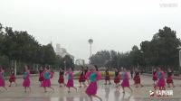 20172017山东枣庄市光明广场舞娘队舞蹈展示