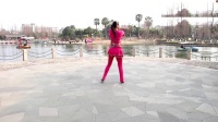 温州燕子广场舞《一曲红尘》附背面教学