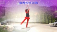 杨艺广场舞专辑 杨艺广场舞望月 第八季