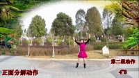 翠屏快乐广场舞《欢喜中国年》原创花球舞新年舞蹈 附背面教学