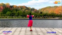 应子广场舞 水边的格桑梅朵（正面附分解 维族藏族多元素舞蹈）_标清
