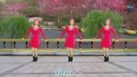 佳木斯快乐舞步健身操十二节青儿广场舞中国梦